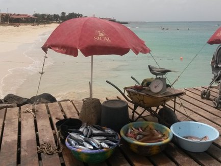 Ein Holzsteg am Strand mit zwei roten Sonnenschirmen, umgeben von frischem Fisch in bunten Schalen und einer Waage.
