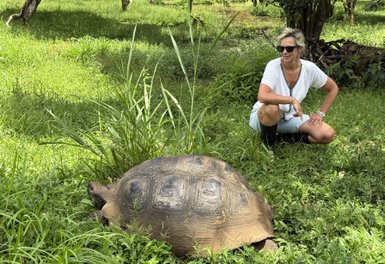 Eine Person kniet im Gras neben einer großen Schildkröte, die entspannt in der Sonne liegt, umgeben von üppigem Grün.