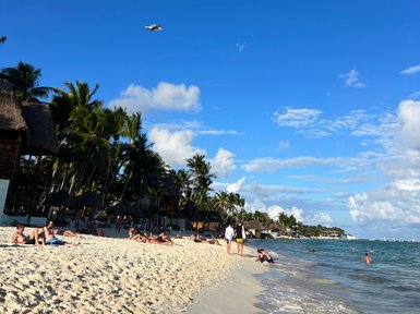 Hohe Palmen wiegen sich im Wind am Strand von Playa del Carmen – Mexiko Familienreise
