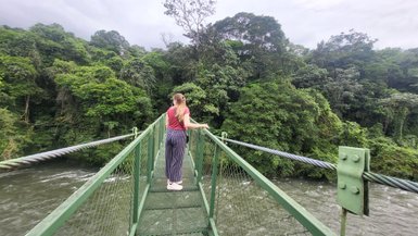 Hängebrücke im Regenwald bei Puerto Viejo de Sarapiqui – Costa Rica Reise mit Kindern