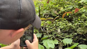 Ein Junge fotografiert mit seinem Smartphone die üppige grüne Vegetation, während er auf Details im Unterholz achtet.