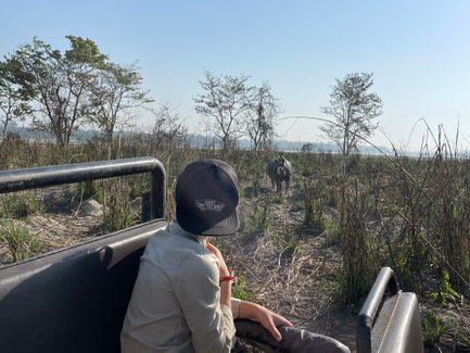 Ein Kind sitzt in einem Geländewagen und beobachtet einen Nashorn, das durch die Graslandschaft im Chitwan-Nationalpark wandert.