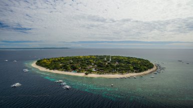 Eine Luftaufnahme von Balicasag Island zeigt eine üppige grüne Landschaft umgeben von klarem, blauem Wasser und Booten.
