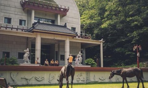 Zwei Pferde grasen friedlich auf einer Wiese vor einem modernen, asiatisch inspirierten Gebäude mit Statuen.