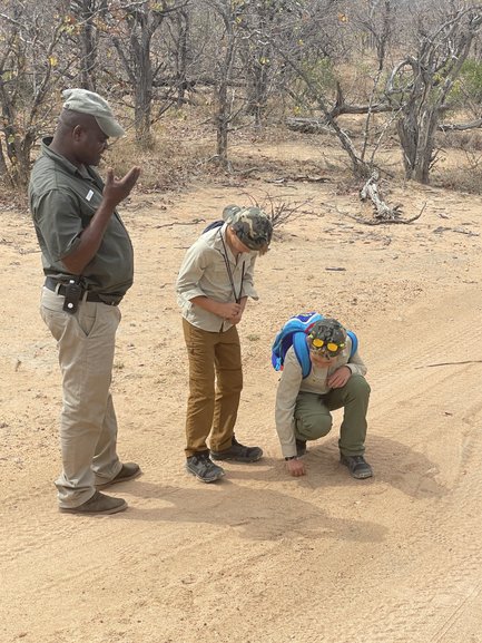 Kinder berühren gemeinsam mit einem Guide den Sand und entdecken Tierspuren im Kruger Nationalpark – Südafrika Reise mit Kindern