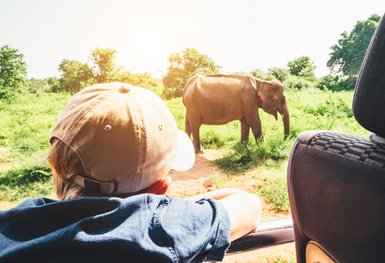 Junge im Jeep beobachtet einen Elefanten in der grünen Landschaft – Sri Lanka Reise mit Kindern