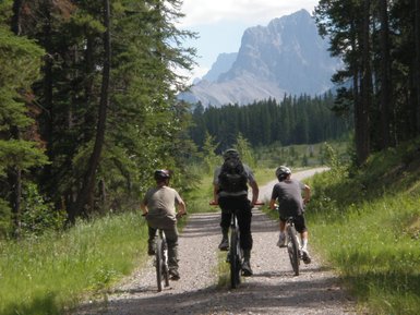 Drei Radfahrer fahren auf einem Schotterweg durch einen Wald, umgeben von hohen Bäumen und majestätischen Bergen im Hintergrund.