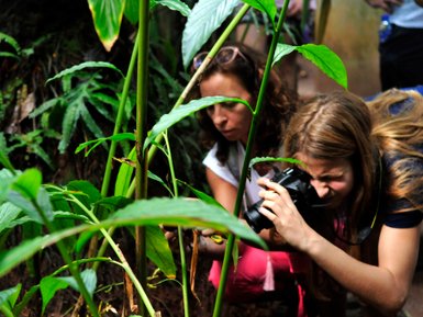 Kinder entdecken verschiedene Pflanzen im Gewürzgarten – Sri Lanka mit Kindern