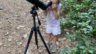 Mädchen beobachtet Tiere mit Fernglas im Carara-Nationalpark – Costa Rica Reise mit Kindern