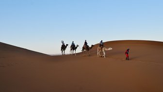 Familie erlebt gemeinsam ein Kameltrekking durch die Sandlandschaften der Sahara – Marokko mit Kindern