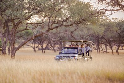 Ein Safari Jeep fährt durch Gras - Namibia Familienurlaub