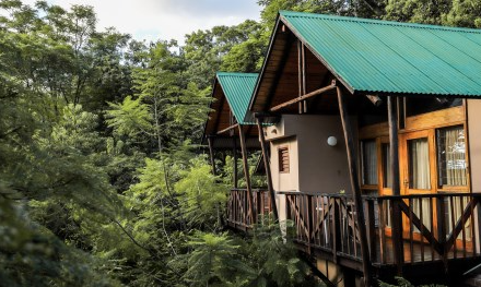 Zwei charmante Holzhütten mit grünem Dach, umgeben von üppigem, grünem Wald in einer ruhigen Umgebung.