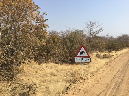 Ein Warnschild zeigt an, dass in den nächsten 5 km Wildtiere, möglicherweise Elefanten, die Straße überqueren könnten.