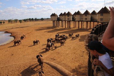 Eine Gruppe von Elefanten wandert durch die trockene Savanne, während ein Safari-Lodge im Hintergrund sichtbar ist.