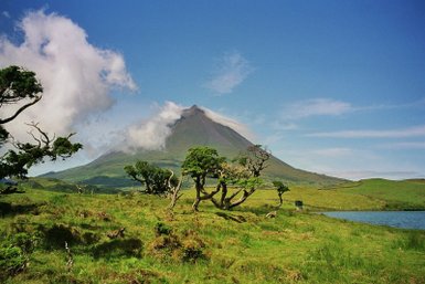 Ein majestätischer Vulkan erhebt sich unter einem klaren blauen Himmel, umgeben von üppigem, grünem Gras und vereinzelten Bäumen.