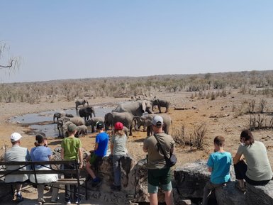 Eine Reisegruppe beobachtet interessiert einer Herde Elefanten am Wasserloch - Namibia mit Kindern 