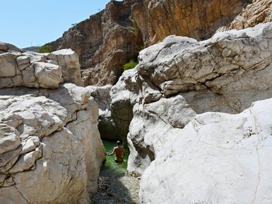 Kind spielt im Wasser zwischen Felsen im Wadi Bani Khalid im Oman – Oman Reise mit Kindern