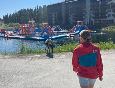 Ein Kind in einem roten Hoodie geht am Wasser entlang, während ein Hund in der Nähe spielt und eine Wasserlandschaft im Hintergrund sichtbar ist.