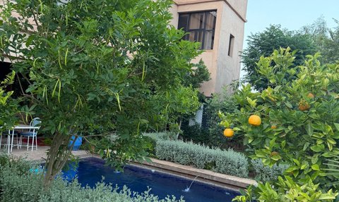 Ein ruhiger Garten mit einem blauen Pool, umgeben von üppigem Grün und einem charmanten, pinken Gebäude im Hintergrund.