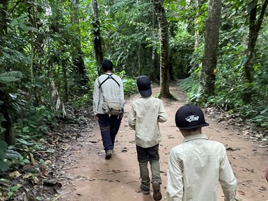 Drei Personen wandern in einem üppigen, grünen Dschungel auf einem staubigen Pfad, umgeben von großen Bäumen.