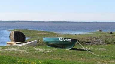 Zwei Boote liegen am Ufer eines ruhigen Gewässers, umgeben von grünem Gras und gelben Löwenzahnblüten.