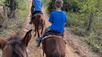 Drei Kinder reiten auf Pferden einen schmalen, staubigen Weg, umgeben von üppigem Grün und Bäumen.