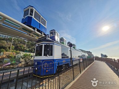 Ein blauer Zug fährt entlang einer Küstenpromenade, umgeben von grünen Bäumen und einem klaren Himmel.