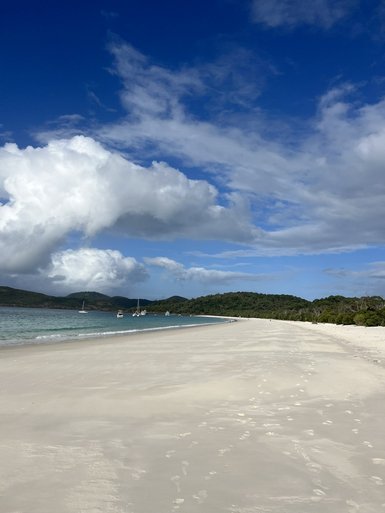 Die weiße Sandküste von Whitehaven Beach erstreckt sich majestätisch unter einem strahlend blauen Himmel.