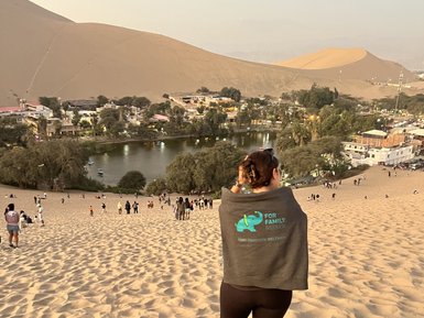 Eine Person steht auf einer Sanddüne und blickt auf eine Oase mit einem kleinen See und umgebenden Bäumen.
