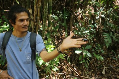 Ein Mann steht im Dschungel und hält einen Käfer in seiner Hand, umgeben von üppigem Grün und tropischen Pflanzen.