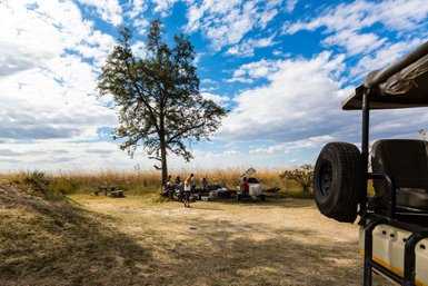 Eine Gruppe von Menschen bereitet sich auf ein Picknick unter einem großen Baum in der Savanne vor, umgeben von hohem Gras.