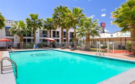 Ein einladender Poolbereich umgeben von Palmen und Sonnenschirmen, ideal für entspannende Tage im Freien.