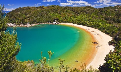 Eine malerische Bucht mit klarem, türkisfarbenem Wasser und feinem Sandstrand, umgeben von üppigem Grün.