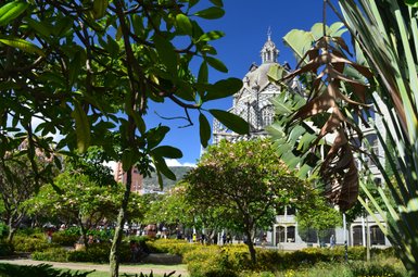 Ein lebhafter Park in Medellín, umgeben von üppigem Grün und bunten Blumen, mit Menschen, die die Sonne genießen.