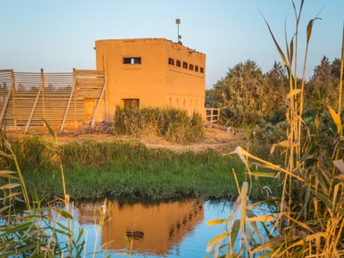 Wasserloch in Azraq - Jordanien Familienurlaub