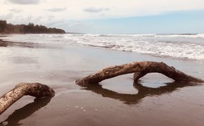 Sandstrand Playa Negra mit tropischer Kulisse bei Cahuita – Costa Rica Reise mit Kindern
