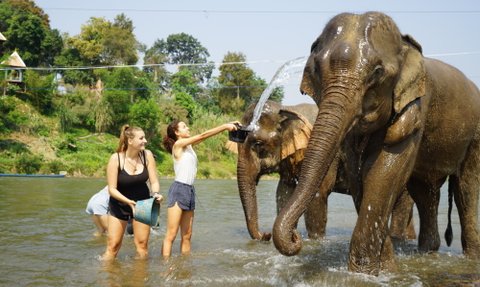 Zwei Frauen stehen im Wasser und baden Elefanten, während einer der Elefanten Wasser mit seinem Rüssel spritzt.