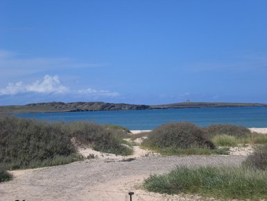 Ein ruhiger Strand mit weichem Sand, umgeben von grünen Pflanzen und sanften Wellen, die gegen das Ufer schlagen.