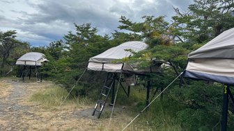 Drei erhöhte Zelte stehen in einer grünen Umgebung, umgeben von Bäumen und Gras, unter einem bewölkten Himmel.
