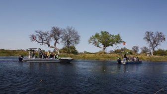 Zwei Boote fahren auf einem ruhigen Wasserweg, umgeben von üppigem Grün und vereinzelten Bäumen unter klarem Himmel.