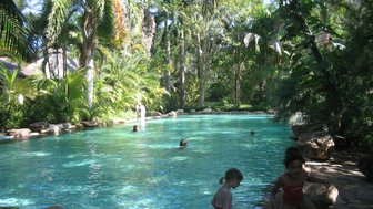 Ein tropischer Pool umgeben von üppigem Grün, in dem Kinder fröhlich spielen und schwimmen.