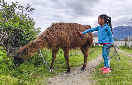 Ein Mädchen in blauer Sportkleidung streichelt ein Lama, während es an einem Weg mit grünen Pflanzen frisst.
