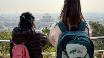 Zwei Personen stehen mit dem Rücken zur Kamera und blicken auf die Verbotene Stadt in Peking, umgeben von grünen Bäumen.