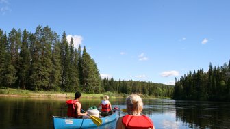 Drei Personen im Kanu paddeln auf einem ruhigen Fluss, umgeben von dichten, grünen Wäldern und klarem blauen Himmel.