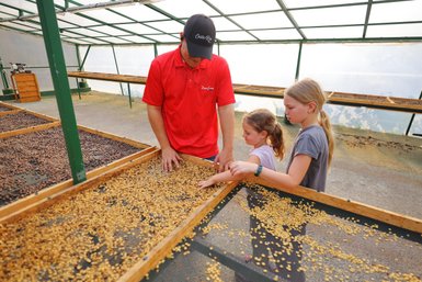 Kinder lauschen gespannt dem Guide während der Don Juan Kaffeetour – Costa Rica Familienreise