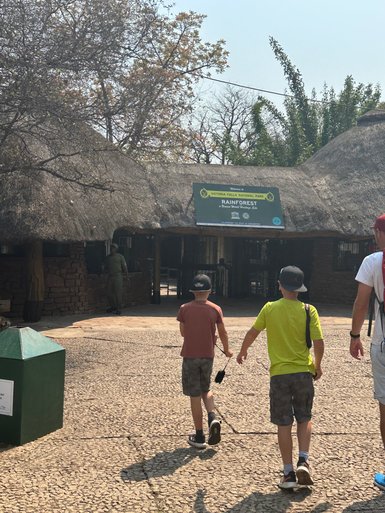 Zwei Jungen in kurzen Hosen gehen auf einen Eingang zum Regenwald im Victoria Falls Nationalpark zu, umgeben von Bäumen.
