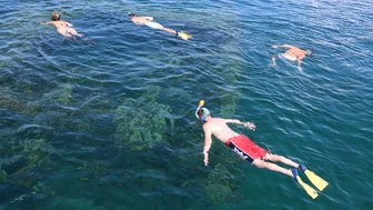Drei Schnorchler gleiten durch das klare Wasser, während die Sonne auf die Wellen scheint und die Unterwasserwelt sichtbar ist.
