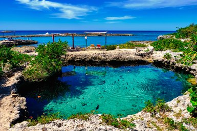 Ein klarer, blauer Pool umgeben von Felsen und üppigem Grün, mit Fischen, die im Wasser schwimmen und sanften Wellen.