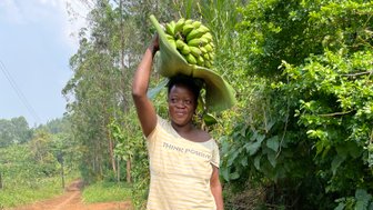 Eine Frau trägt eine große Ladung Bananen auf ihrem Kopf, während sie auf einem staubigen Weg in der Natur steht.