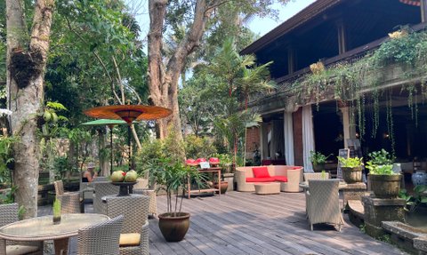 Ein einladender Außenbereich mit gemütlichen Sitzgelegenheiten und üppigem Grün, ideal für Entspannung und Geselligkeit.